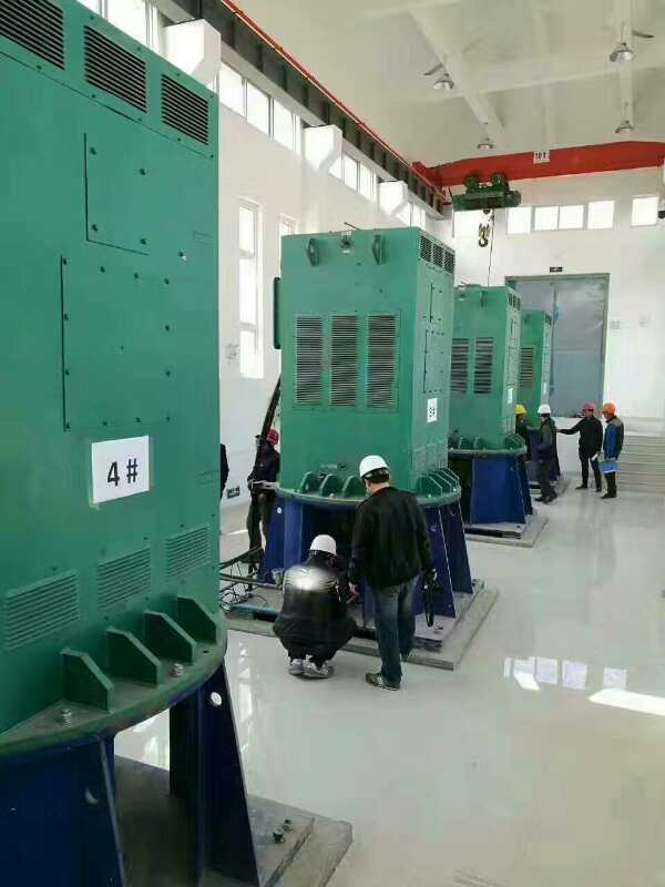 海棠湾镇某污水处理厂使用我厂的立式高压电机安装现场生产厂家