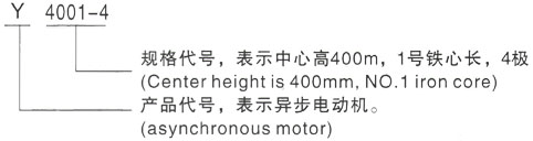 西安泰富西玛Y系列(H355-1000)高压海棠湾镇三相异步电机型号说明
