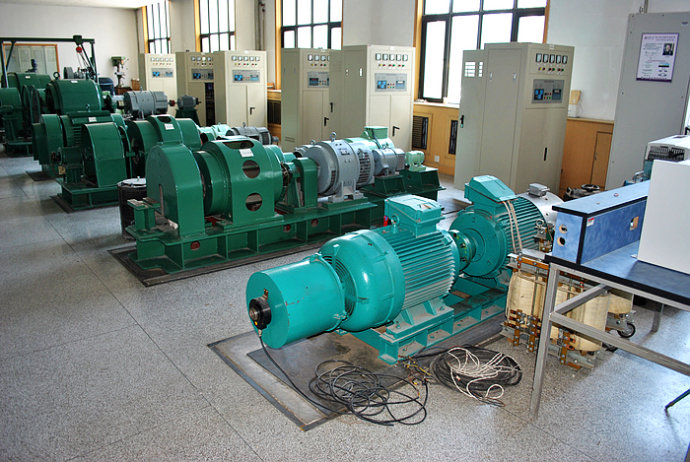 海棠湾镇某热电厂使用我厂的YKK高压电机提供动力